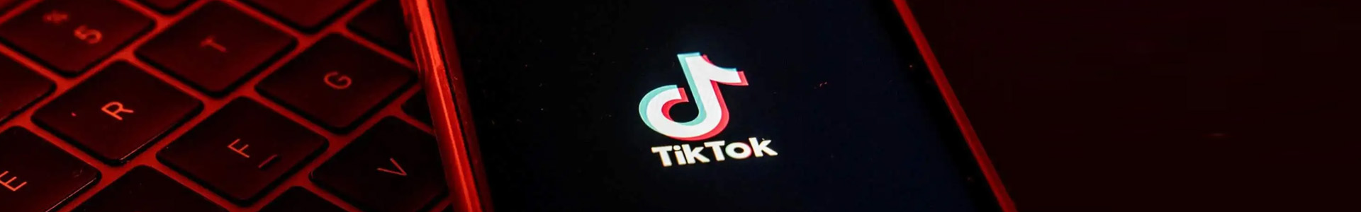 外贸网站建站Tiktok推广 第2张