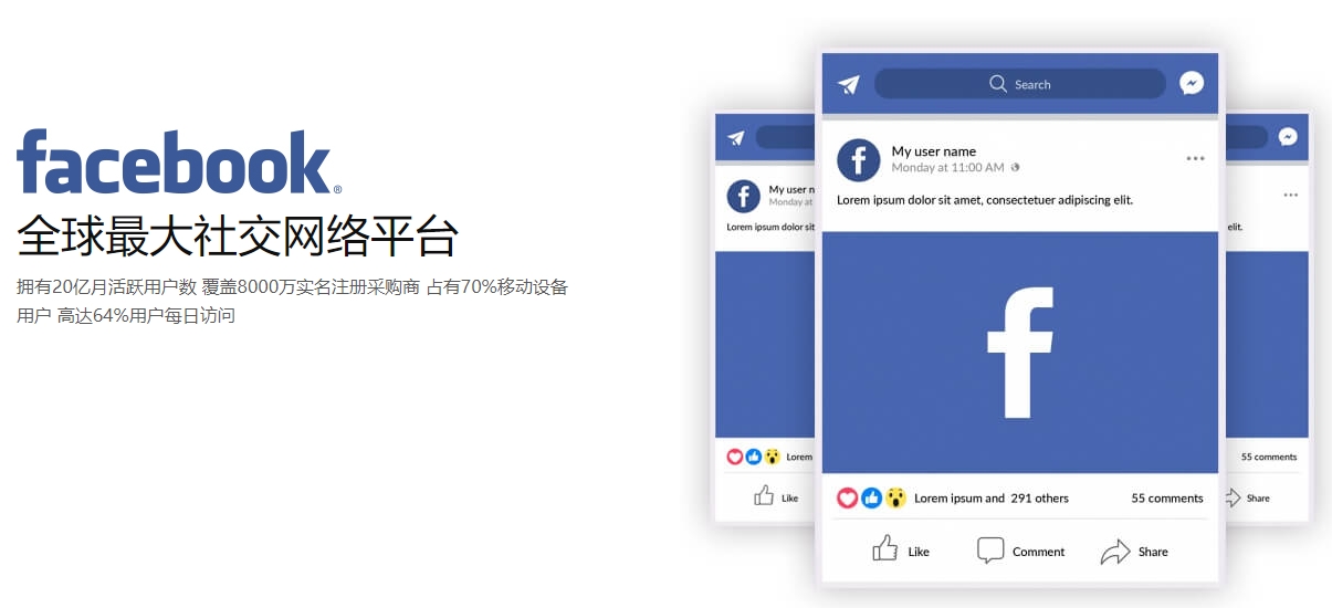外贸网站建站海外社交媒体营销  第1张